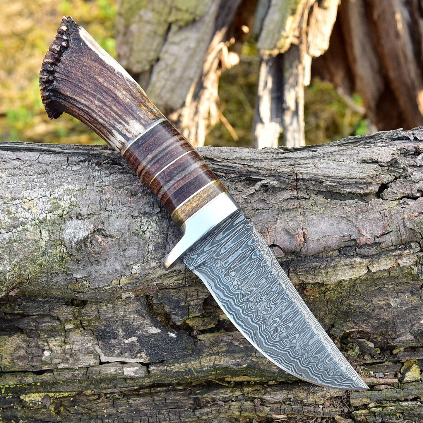 Exquisite Custom Damascus Steel Hunting Knife - 9" Rosewood & Stag Horn Handle - Korvel