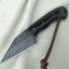 Exquisite Custom Damascus Steel Seax Knife with Buffalo Horn Handle - 7 Inches - Korvel