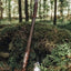 Handcrafted Viking Battle Axe with Premium 1095 Steel Blade & Leather-Wrapped Rosewood Handle - Korvel