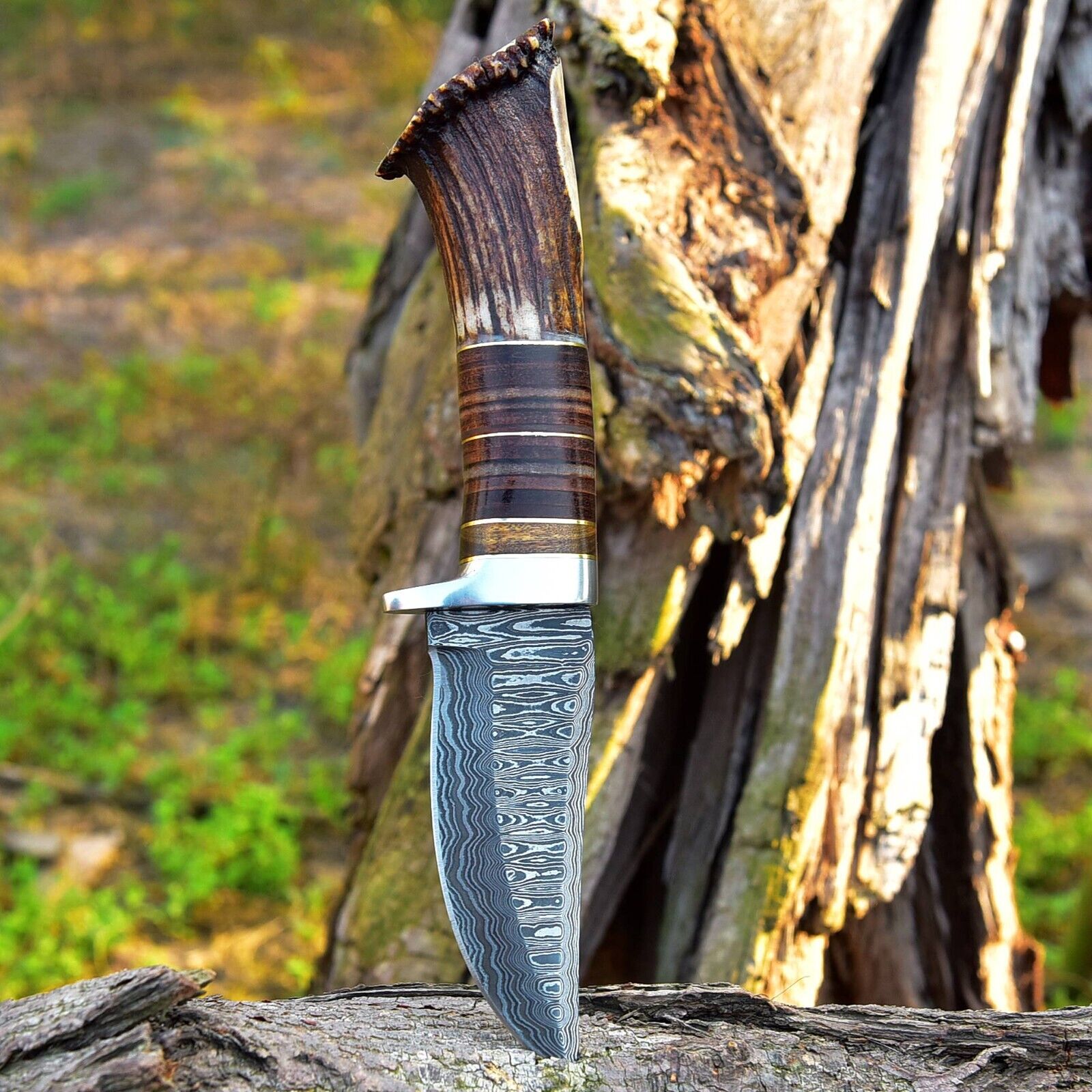 Exquisite Custom Damascus Steel Hunting Knife - 9" Rosewood & Stag Horn Handle - Korvel
