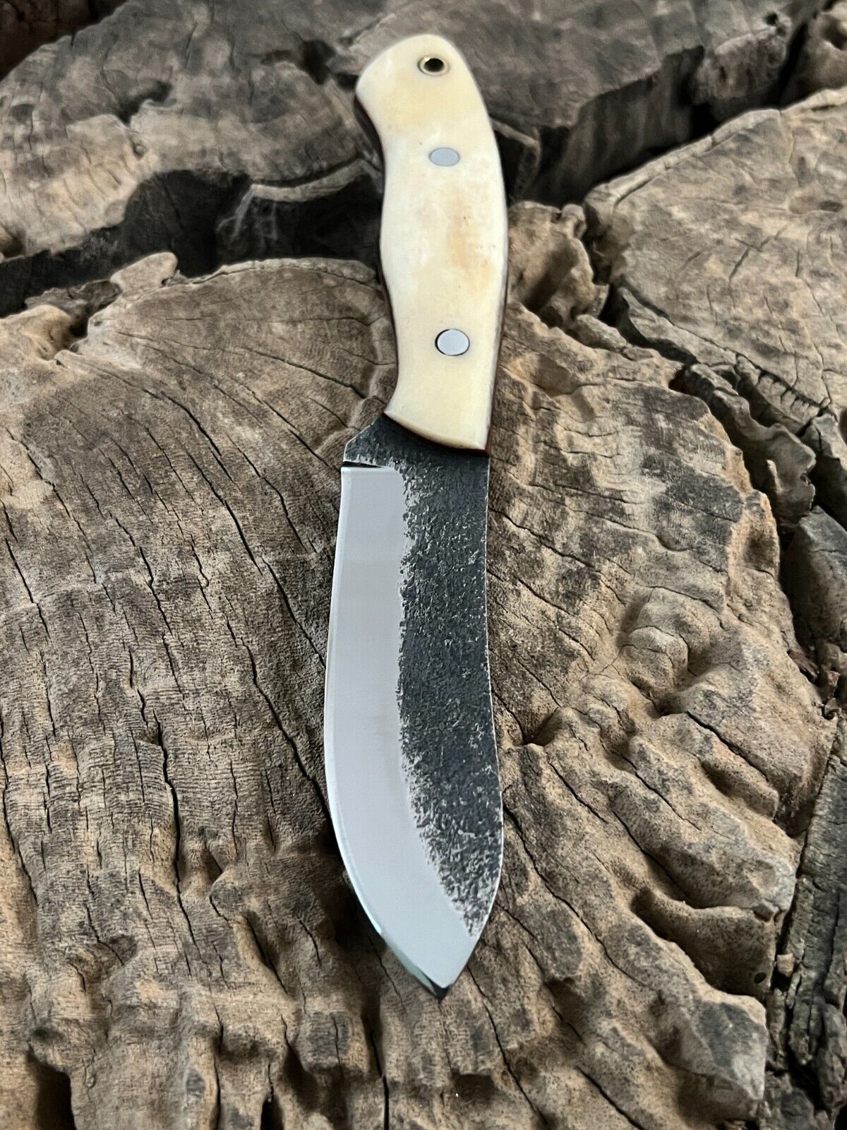 WildEdge Premium Bushcraft Knife – 8-Inch Survival Blade with Ergonomic Bone Handle - Korvel