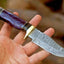 Artisan Crafted Damascus Steel Hunting Knife with Pearl Resin Handle - Korvel