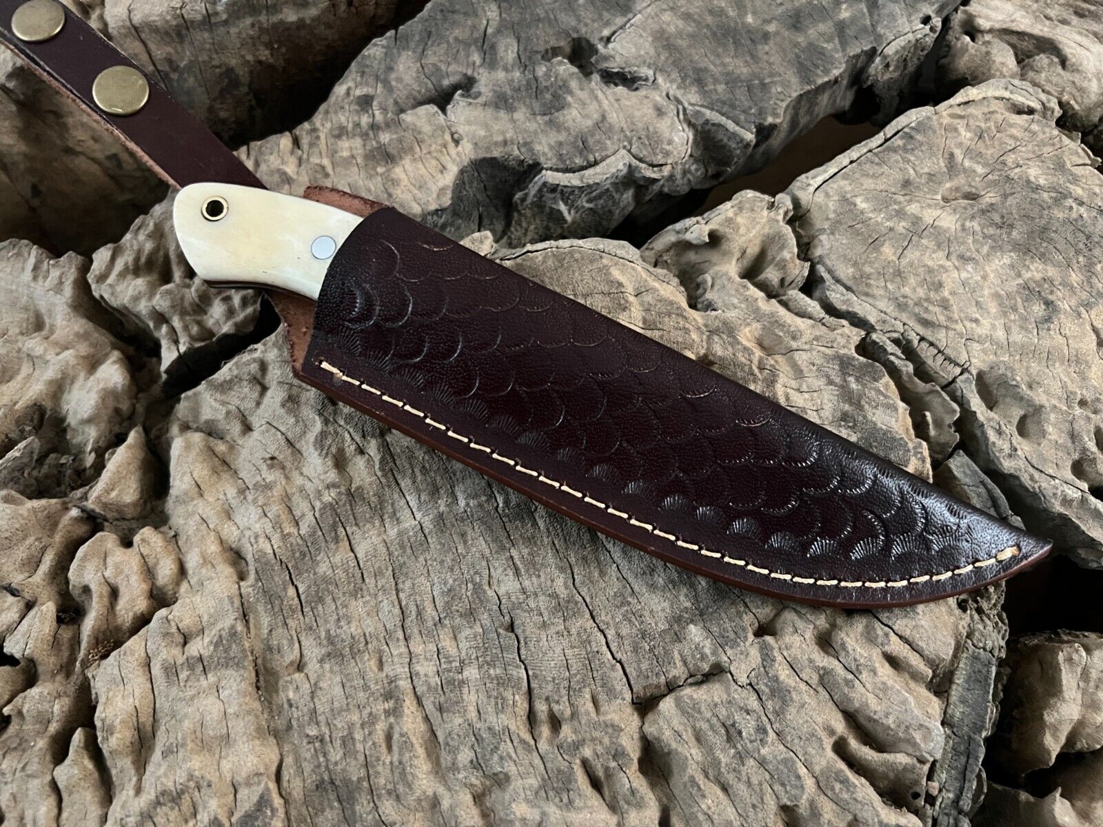 WildEdge Premium Bushcraft Knife – 8-Inch Survival Blade with Ergonomic Bone Handle - Korvel