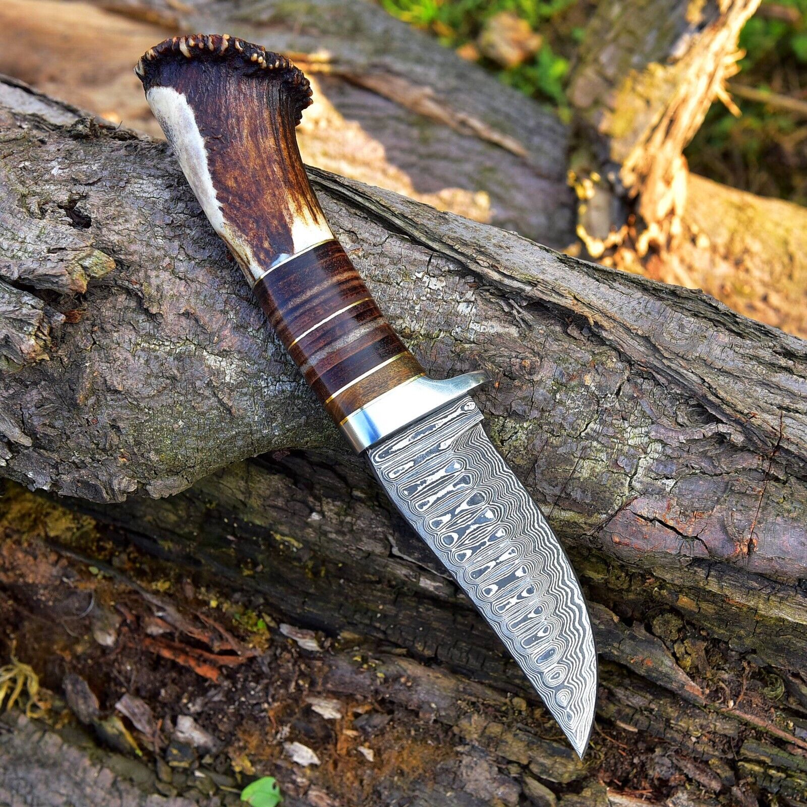 Exquisite Custom Damascus Steel Hunting Knife - 9" Rosewood & Stag Horn Handle - Korvel