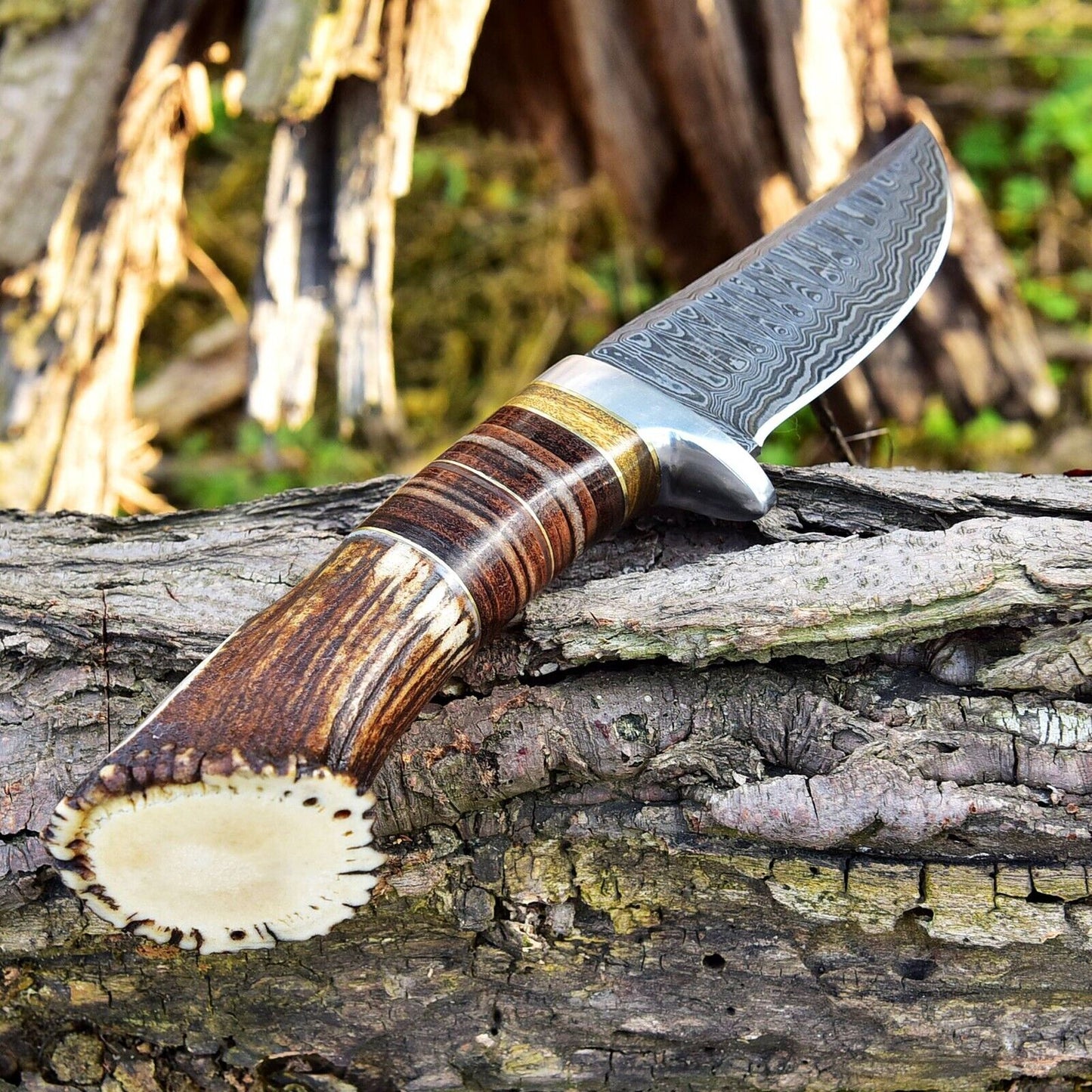 Exquisite Custom Damascus Steel Hunting Knife - 9" Rosewood & Stag Horn Handle - Korvel