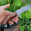 Premium Damascus Tanto Tracker Knife with Luxurious Rosewood Handle - 10 Inches, Multi-Functional Serrated Blade - Korvel