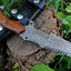 Premium Damascus Tanto Tracker Knife with Luxurious Rosewood Handle - 10 Inches, Multi-Functional Serrated Blade - Korvel