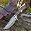 Exquisite Custom Damascus Steel Hunting Knife - 9" Rosewood & Stag Horn Handle - Korvel