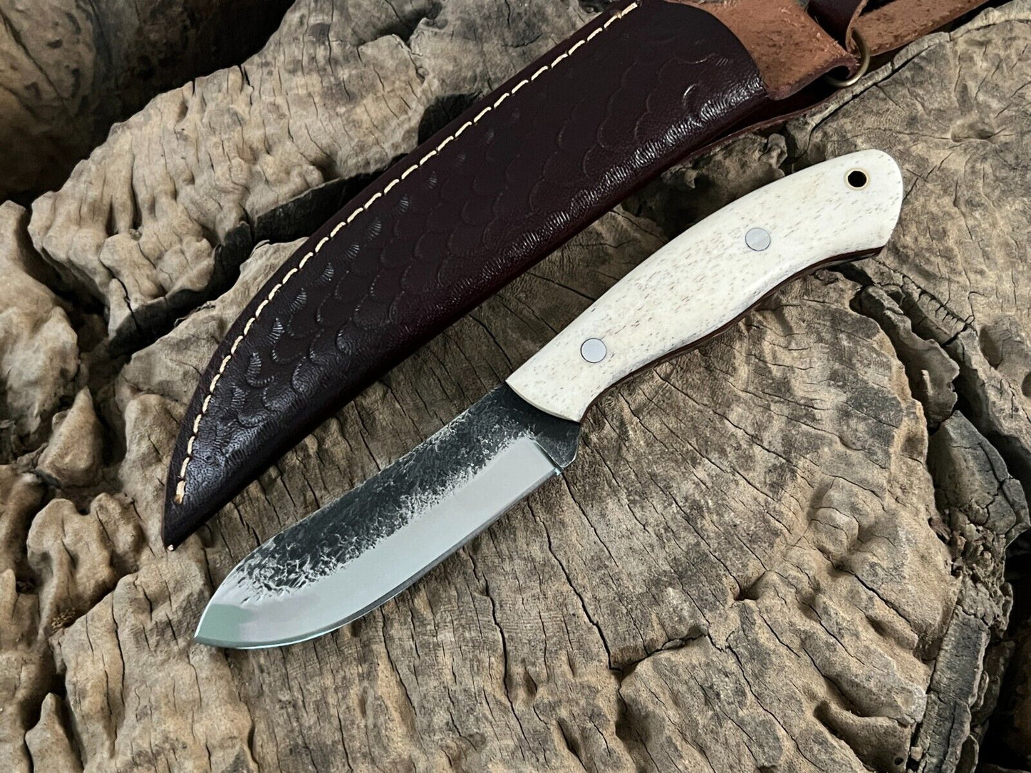 WildEdge Premium Bushcraft Knife – 8-Inch Survival Blade with Ergonomic Bone Handle - Korvel