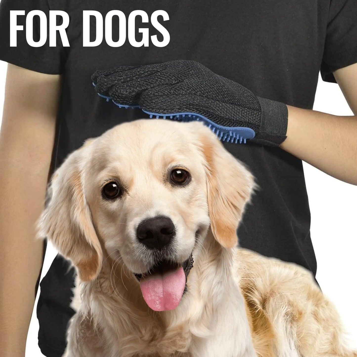 Gants de toilettage pour animaux de compagnie de qualité supérieure pour un retrait de poils sans ef