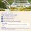 Calming Herbal Infusion: Greek Mountain Tea with Lavender & Chamomile