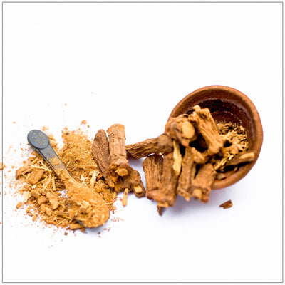 Poudre de racine de sarsaparille premium
