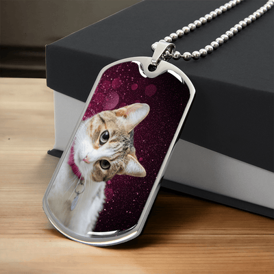 Collar de Gato Sassy - Acero Quirúrgico Premium y Acabado en Oro