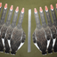 Versatile Top Down Decoys® SBS1: Specklebelly & Snow Goose Duo - Korvel