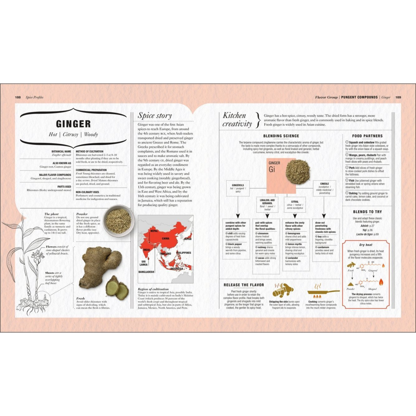 Unlock the Secrets of Flavor: A Revolutionary Spice Cookbook (Spiral Bound) - Korvel