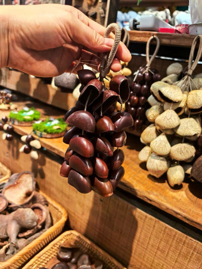 Handmade Entada, Cardamom & Oleander Seed Shell Wind Chime