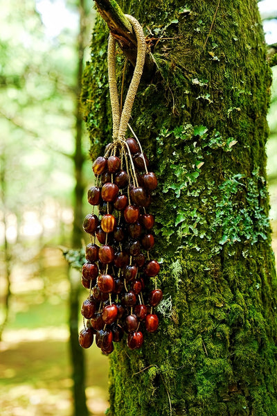 Handmade Pala Cardamom Seed Shell Hand Bell – Natural Decor