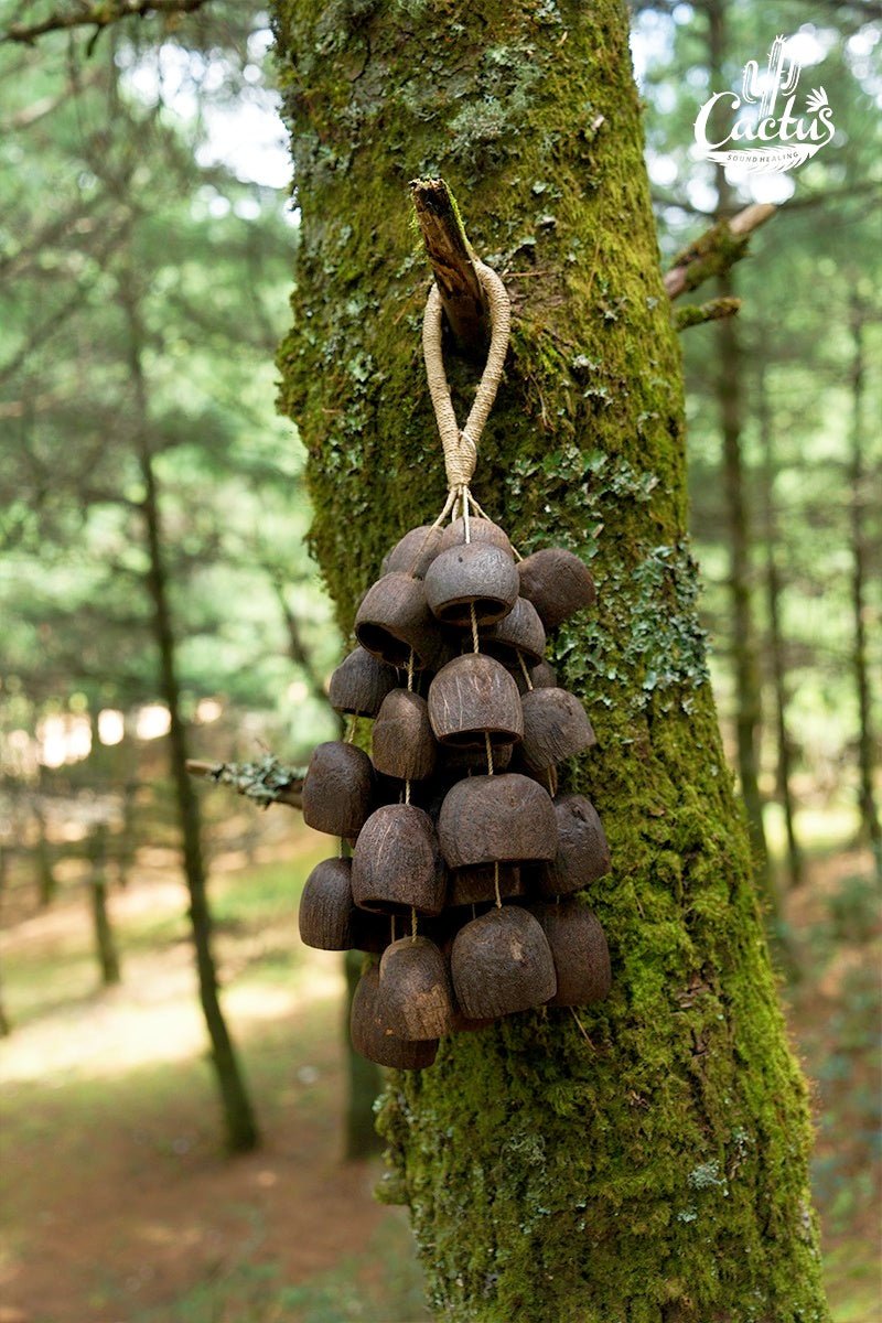 Cloche à main en coque de graine de Bellwood de Salin faite à la main