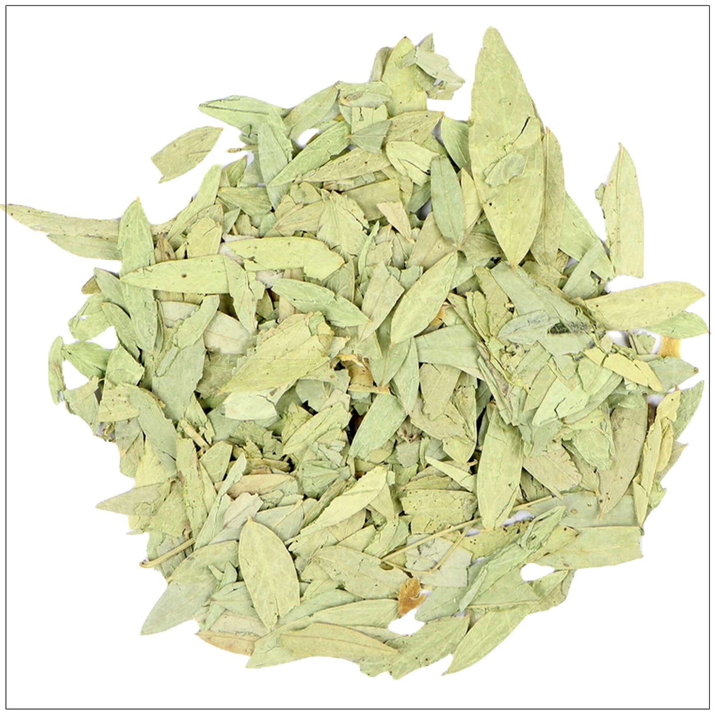 Infusión de Hojas de Senna Premium