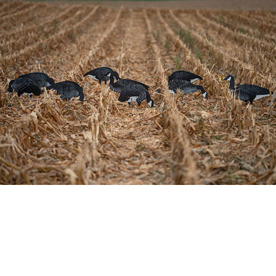 Shadow-X Premium Wildlife Decoys