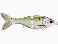 Bucca 6" Trick Shad Fishing Lure