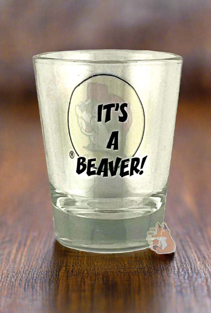 Buc-ee's C'est un verre à shot Beaver