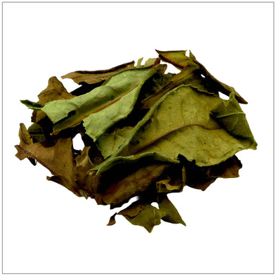Shu Mee Té Blanco - Té de Calidad Premium