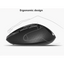 Souris sans fil silencieuse - Design ergonomique et élégant