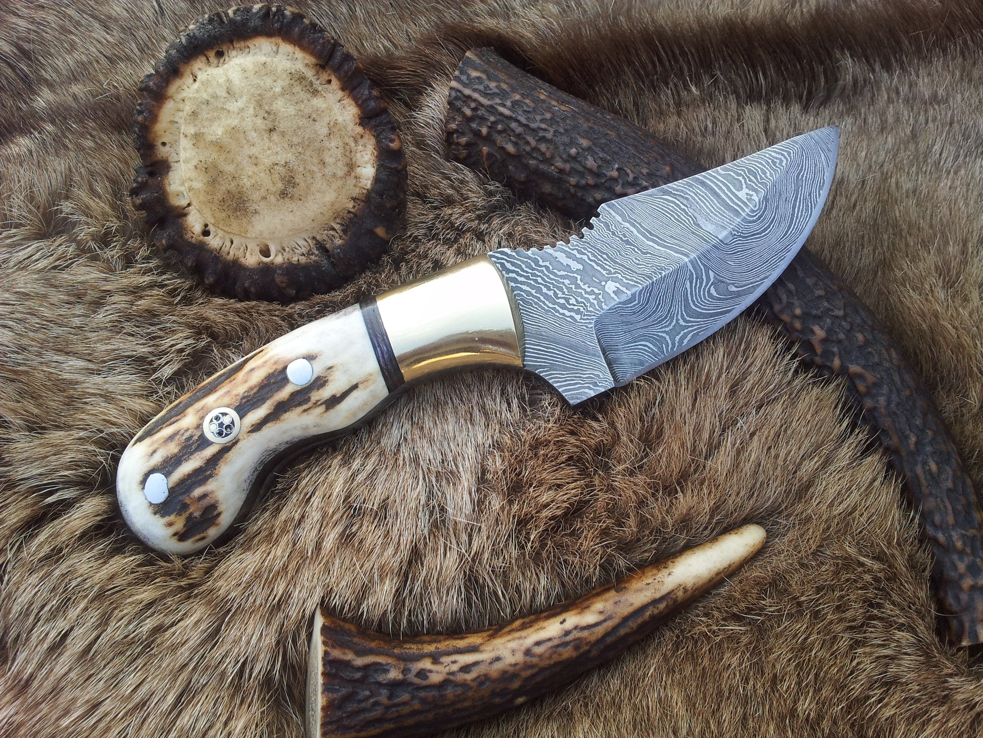 Premium Damascus Steel Hunting Knife – 7.25 Inch Drop Point Blade with Antler Handle and Brass Accents - Korvel