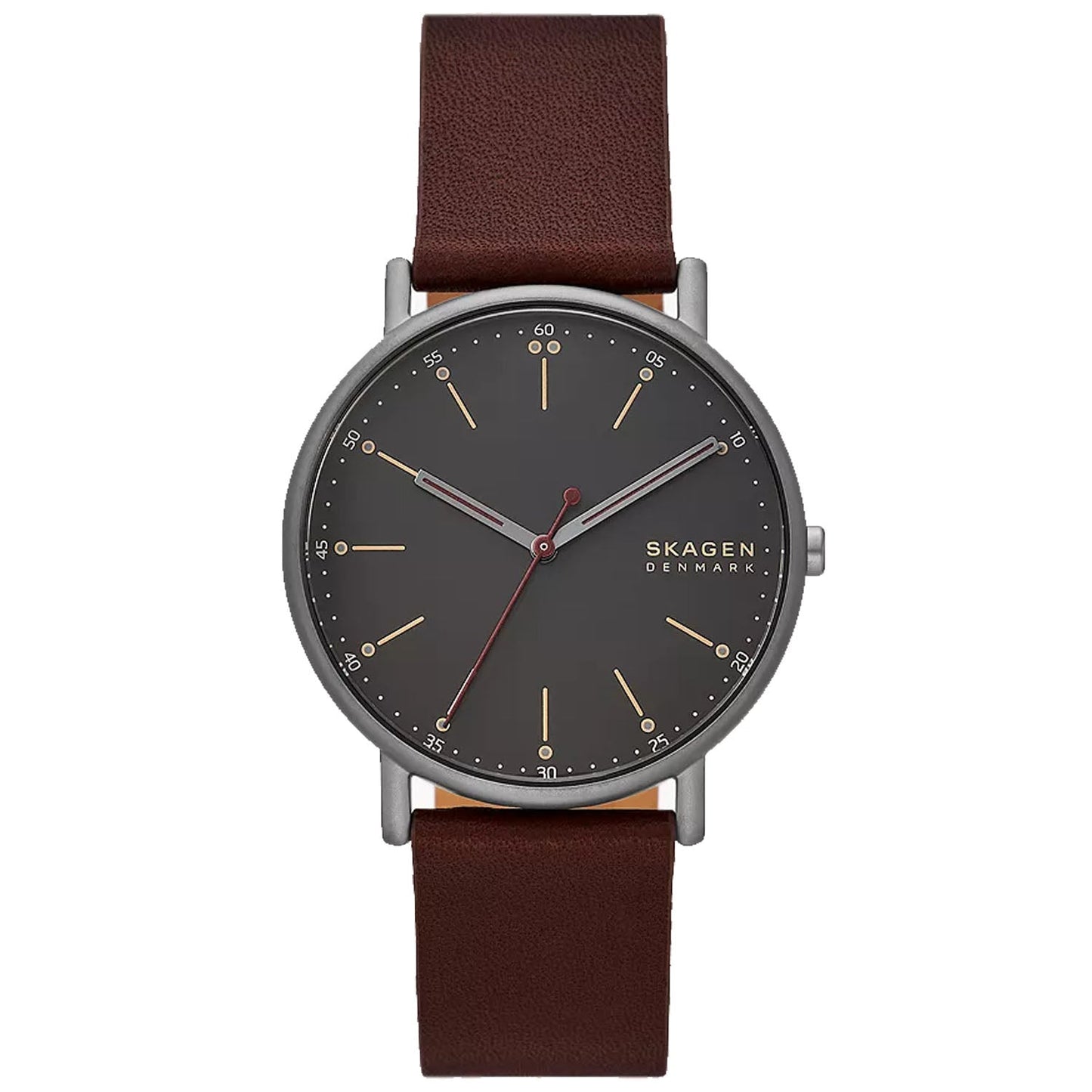 Montre Signatur pour homme Skagen