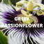Sleep Tea – Lavender, Chamomile, Valerian & Passionflower Blend