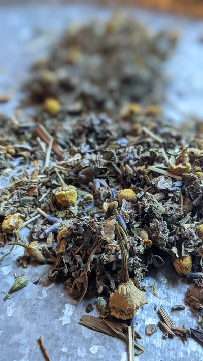 Calm & Cozy Herbal Tea Blend for Restful Nights - Korvel