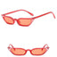 Small Leopard Cat Eye Sunglasses - Vintage UV Protection