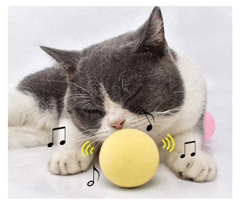 Balles en Peluche Interactives au Cataire pour un Temps de Jeu Engagé