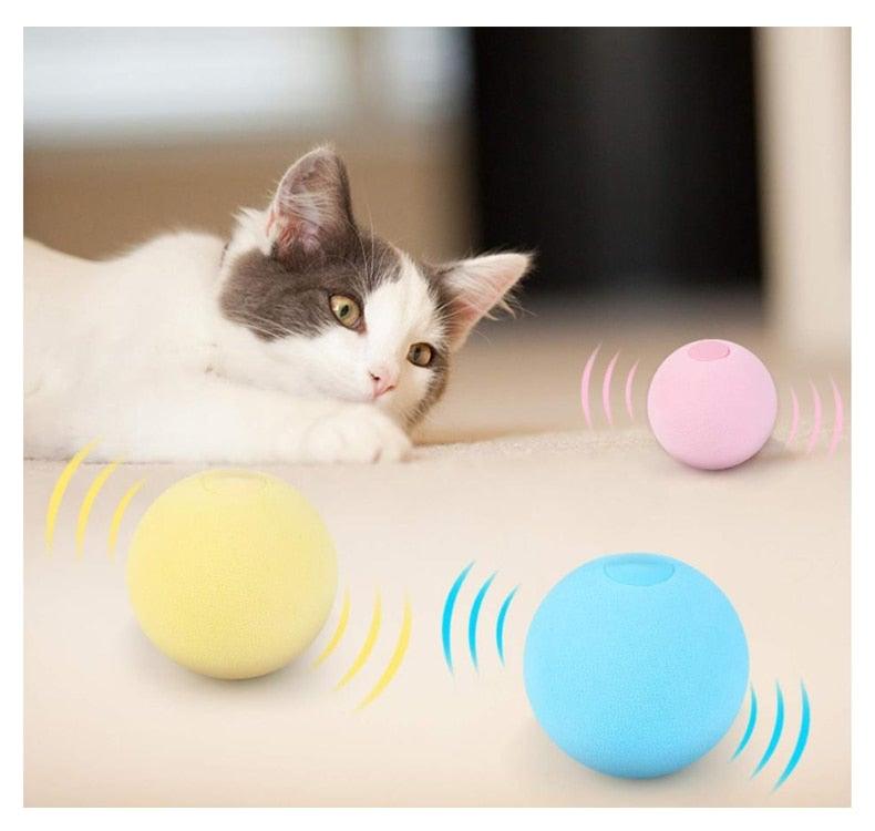 Balles en Peluche Interactives au Cataire pour un Temps de Jeu Engagé
