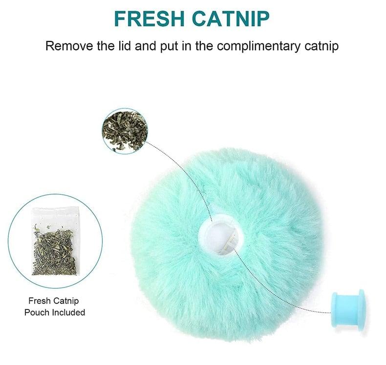 Balles en Peluche Interactives au Cataire pour un Temps de Jeu Engagé