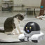SmartView Home Camera - Korvel