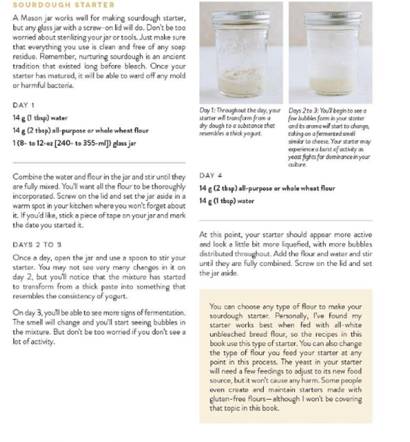 Sourdough Every Day: Your Guide to Using Active and Discard Starter for Artisan Bread, Rolls, Pasta, Sweets and More (Spiral Bound) - Korvel