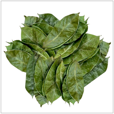 Hojas de Soursop Secas Premium - Naturales y No Transgénicas