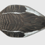 Versatile Top Down Decoys® SBS1: Specklebelly & Snow Goose Duo - Korvel