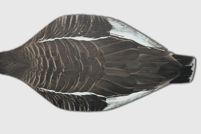 Versatile Top Down Decoys® SBS1: Specklebelly & Snow Goose Duo - Korvel