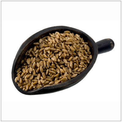Premium Spelt Berries - Ancient Whole Grain