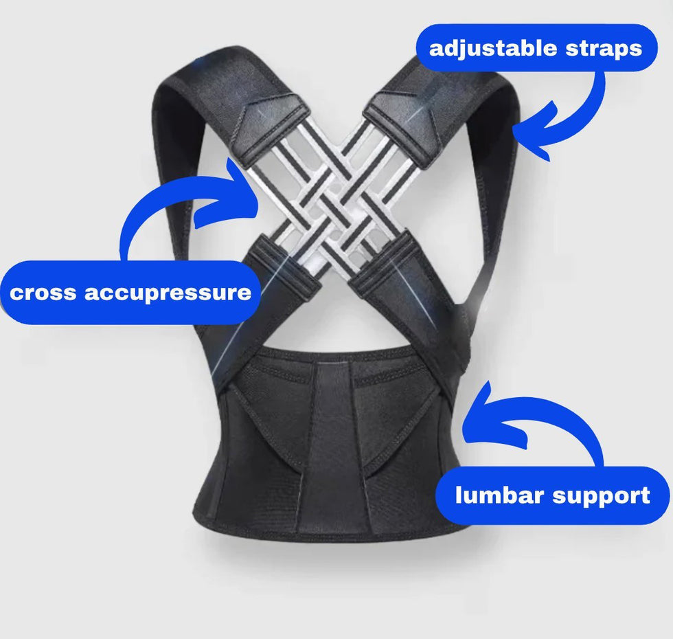SpineAlign Pro - Korvel
