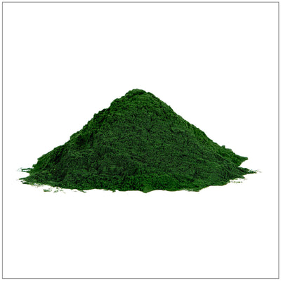 Poudre de Spiruline Premium pour Délices Culinaires