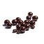 Granos de Café Espresso en Chocolate Oscuro Vegano Andy Anand - Caja de Regalo de 1 lb