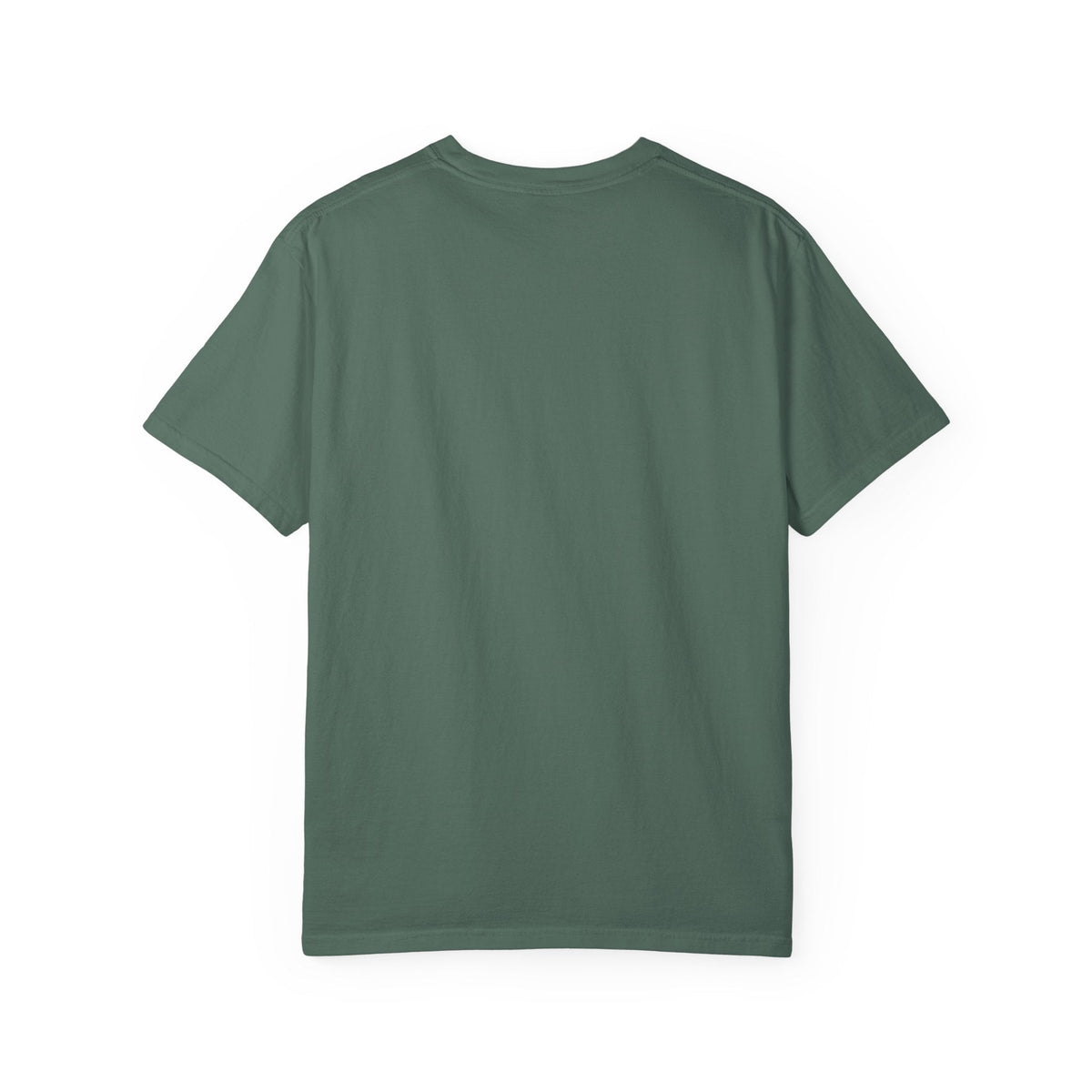 Stars, Stripes & Swoop | Political Parody T-Shirt