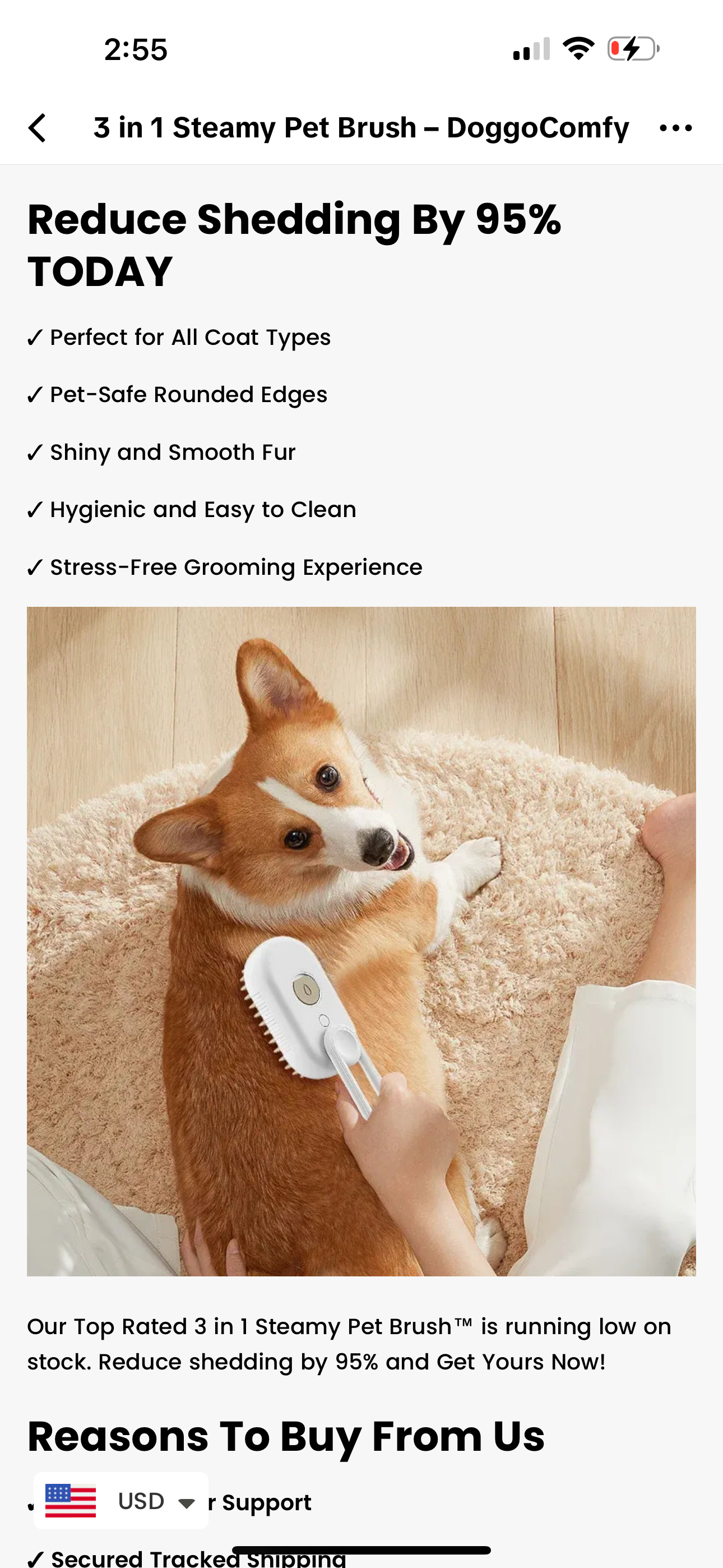 Steamy Hair Brush - Korvel