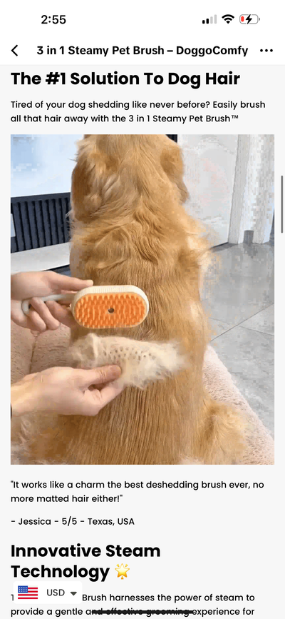 Steamy Hair Brush - Korvel
