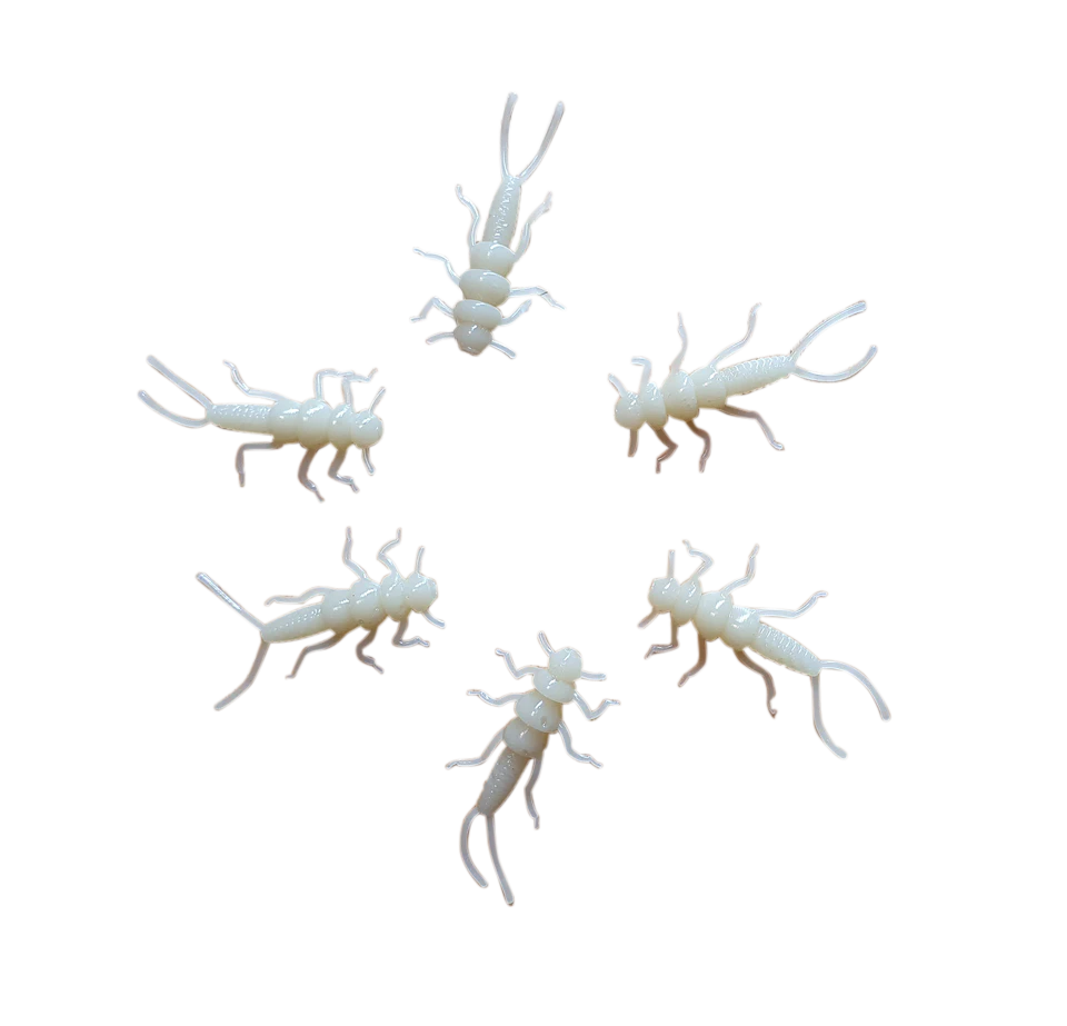 Custom 1.375" Soft Plastic Stonefly Nymphs