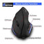 Souris sans fil ergonomique élégante avec éclairage RGB
